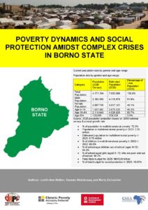 Poverty Dynamics and Social Protection Amidst Complex Crises in Borno State
