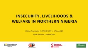 Insecurity, Livelihoods & Welfare in Northern Nigeria